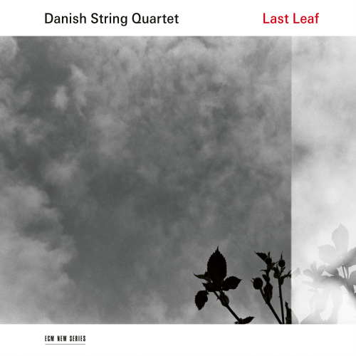 DANISH STRING QUARTET - LAST LEAFDANISH STRING QUARTET - LAST LEAF.jpg